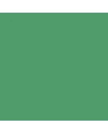 Colorama paper background 2.72 x 11 m - Apple Green
