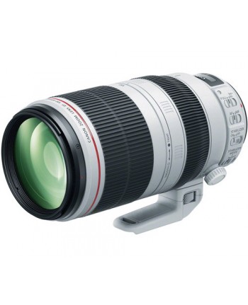 Canon EF 100-400mm F/4.0L IS USM