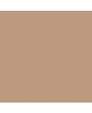 Colorama paper background 2.72 x 11 m - Coffee