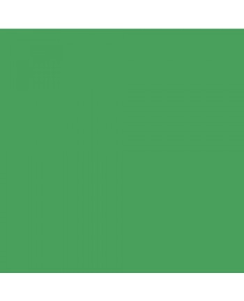 Colorama paper background 2.72 x 11 m - Chromagreen