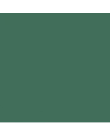 Colorama paper background 2.72 x 11 m - Spruce Green