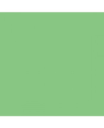 Colorama paper background 2.72 x 11 m - Summer Green