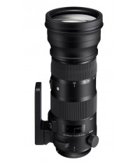 Sigma 150-600mm F5-6.3 DG OS HSM Sport for Nikon