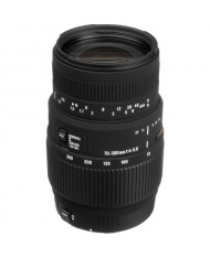 Sigma 70-300mm f/4-5.6 DG MACRO for Canon