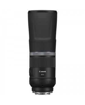 Canon RF 800mm f/11 IS STM Lens