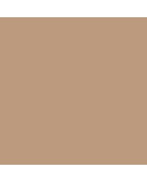 Colorama paper background 2.72 x 11 m - Coffee