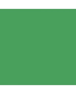 Colorama paper background 2.72 x 11 m - Chromagreen