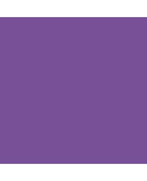 Colorama paper background 2.72 x 11 m - Royal Purple
